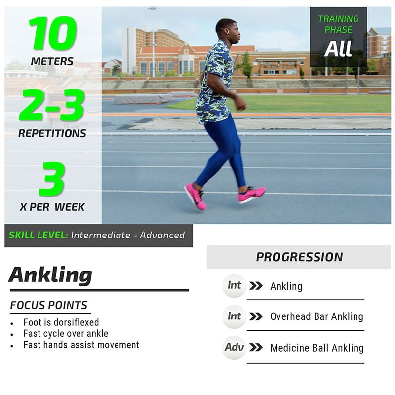 Sprinting Drills Alpha Training Guide Sample Exercise